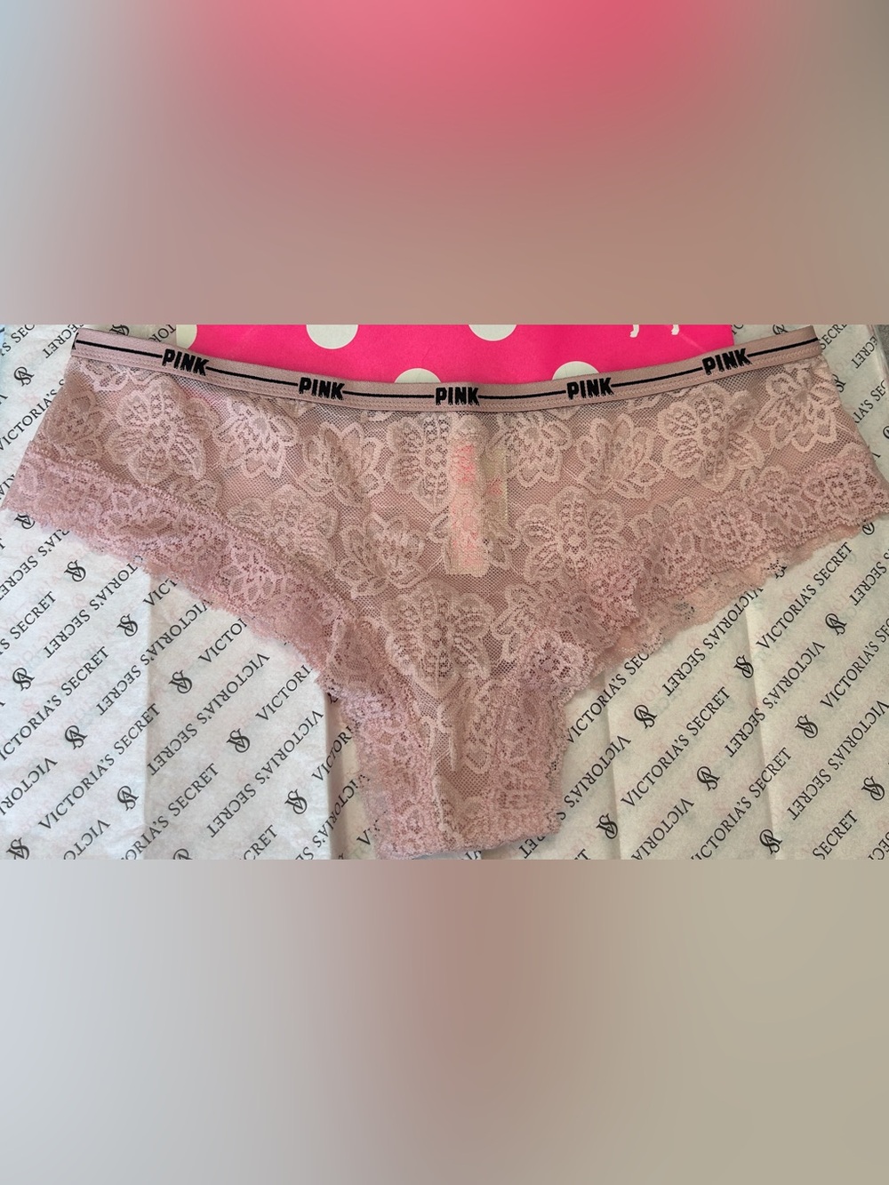 Victoria's Secret PINK Lace Hipster Panty in Blush Pink